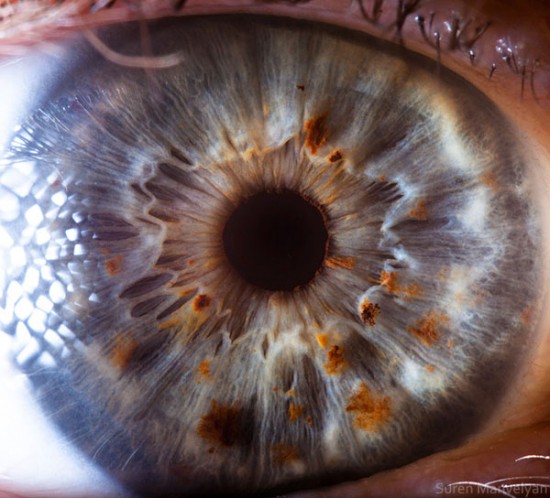 21 Extreme Close Ups of the Human Eye013