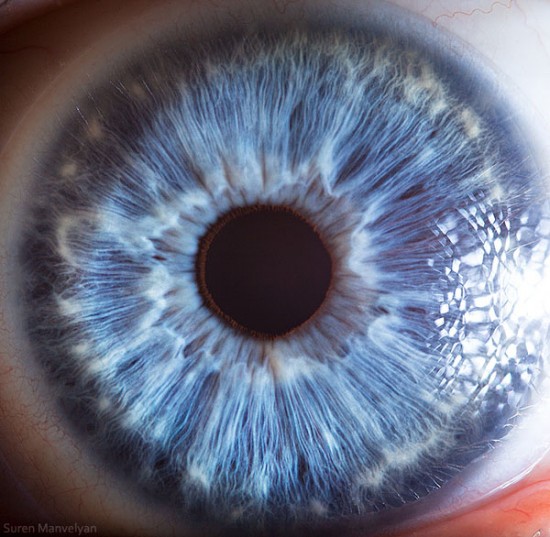21 Extreme Close Ups of the Human Eye014
