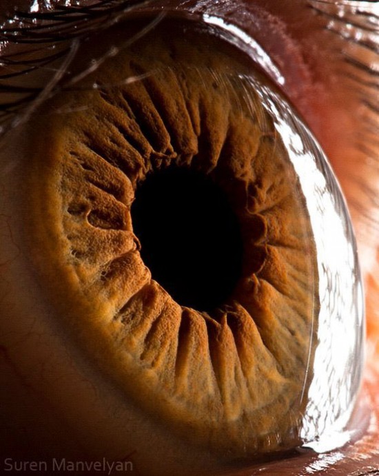 21 Extreme Close Ups of the Human Eye015