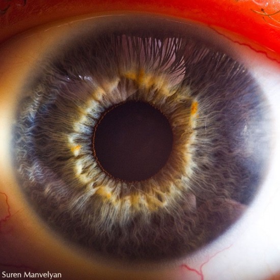 21 Extreme Close Ups of the Human Eye016
