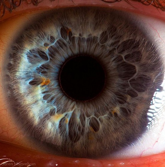 21 Extreme Close Ups of the Human Eye017