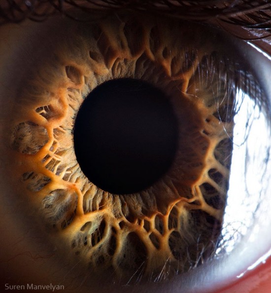 21 Extreme Close Ups of the Human Eye018