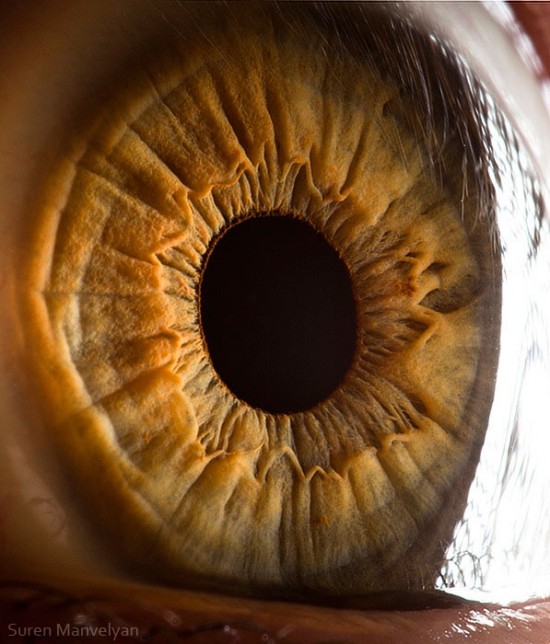 21 Extreme Close Ups of the Human Eye019