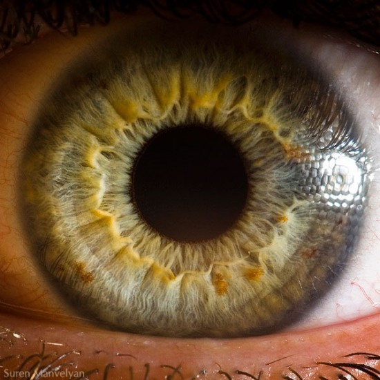 21 Extreme Close Ups of the Human Eye020