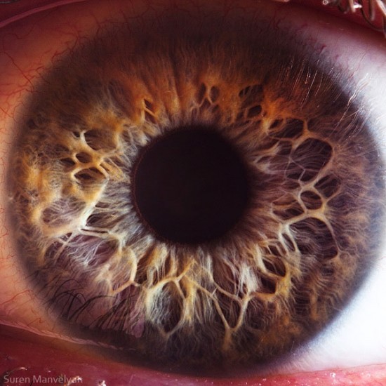 21 Extreme Close Ups of the Human Eye021