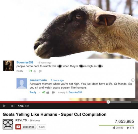 28 Ridiculous YouTube Comments 013