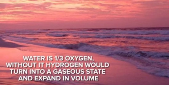 30 Awesome Scientific Facts 023