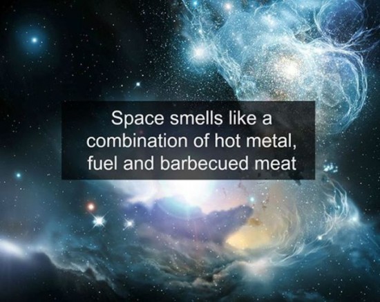 30 Awesome Scientific Facts 024
