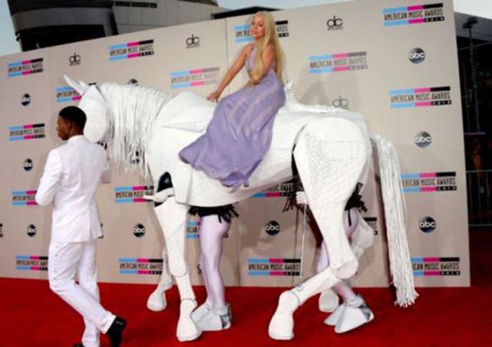 38 WTF Pictures010