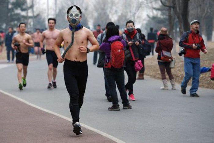 38 WTF Pictures018