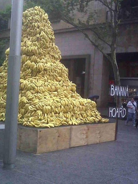 38 WTF Pictures027