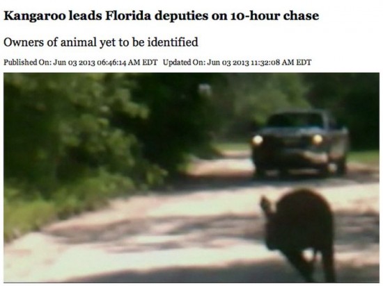 40 Most Insane Things That Happened In Florida In 2013 014