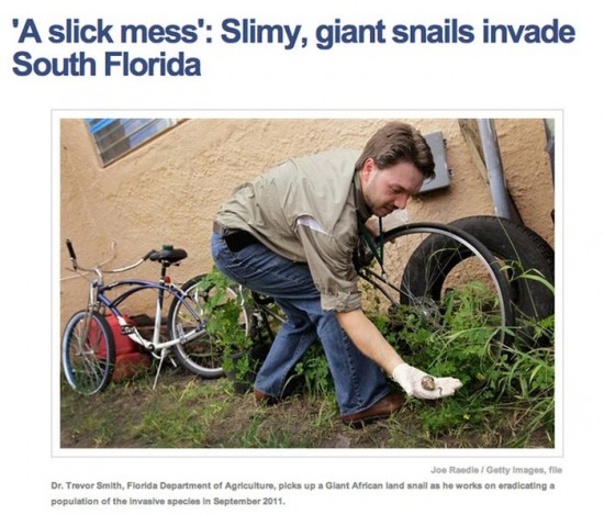 40 Most Insane Things That Happened In Florida In 2013 028