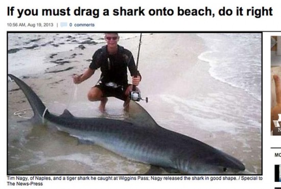 40 Most Insane Things That Happened In Florida In 2013 036