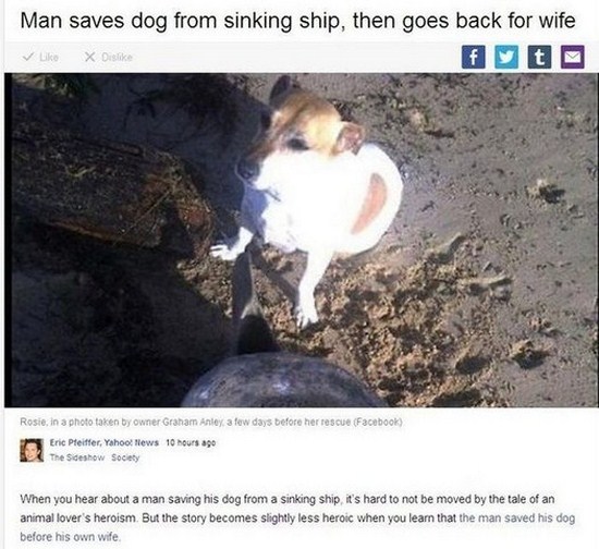 All dog owners can relate to these pictures008