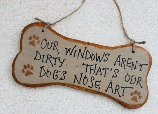 All dog owners can relate to these pictures012