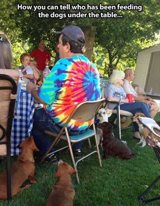 All dog owners can relate to these pictures020