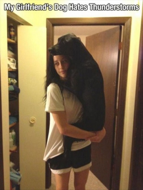 All dog owners can relate to these pictures031