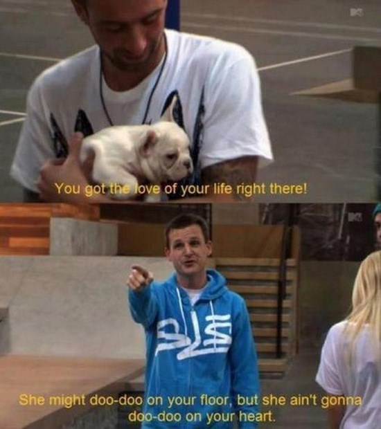 All dog owners can relate to these pictures034
