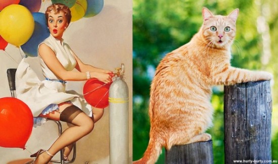 Cats-Who-Think-They-Are-Pin-Up-Girls-002
