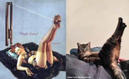 Cats-Who-Think-They-Are-Pin-Up-Girls-007