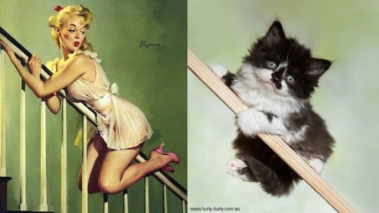 Cats-Who-Think-They-Are-Pin-Up-Girls-008