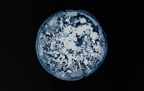 Close-ups Of Recreational Drugs 001