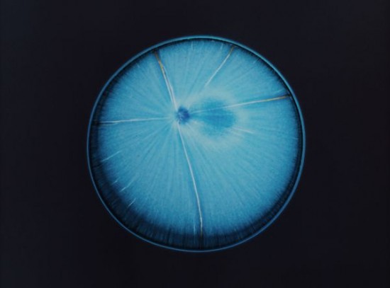 Close-ups Of Recreational Drugs 004