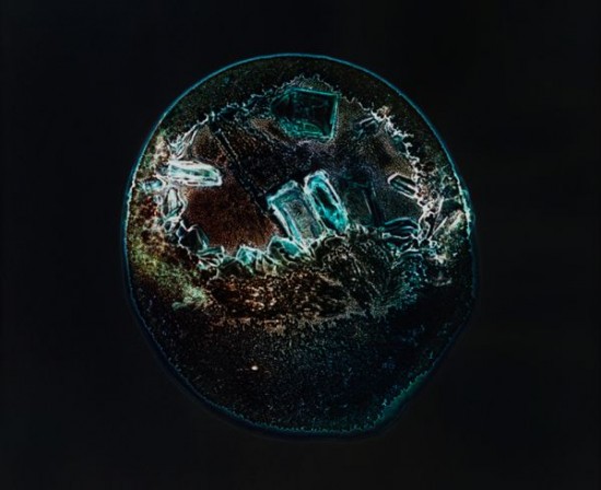 Close-ups Of Recreational Drugs 009