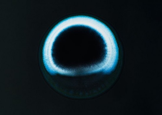 Close-ups Of Recreational Drugs 011