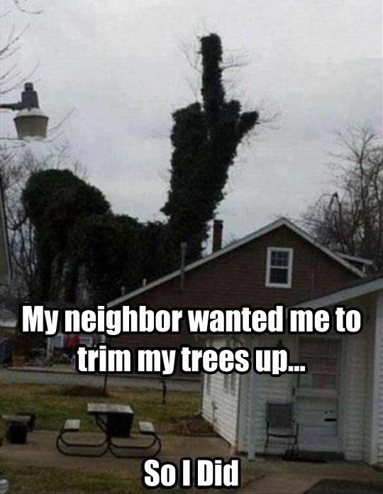 Interesting situations between neighbours 010