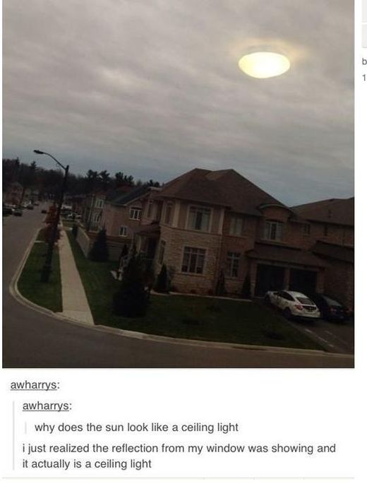 It's All About Stupid people016