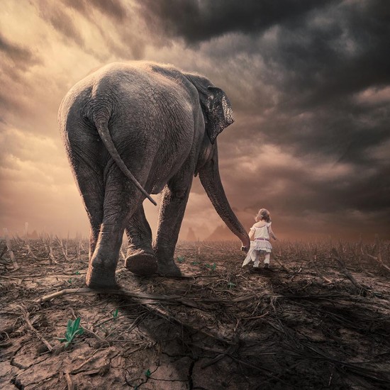 Surreal-Photo-Manipulations-By-Caras-Ionut-003