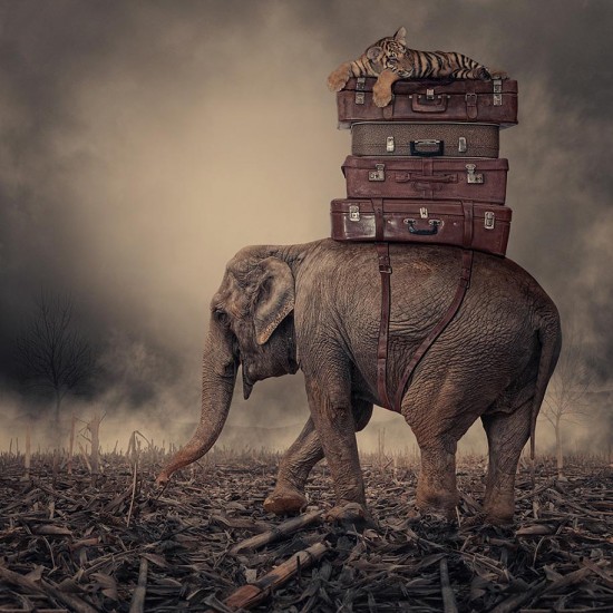 Surreal-Photo-Manipulations-By-Caras-Ionut-005