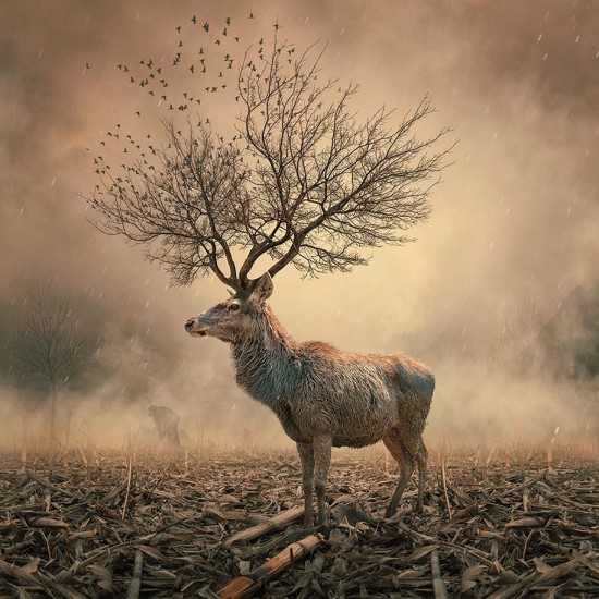 Surreal-Photo-Manipulations-By-Caras-Ionut-015