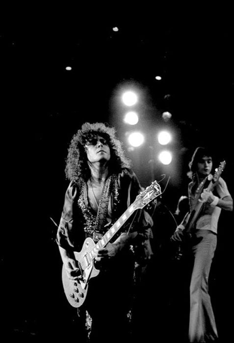 T. Rex