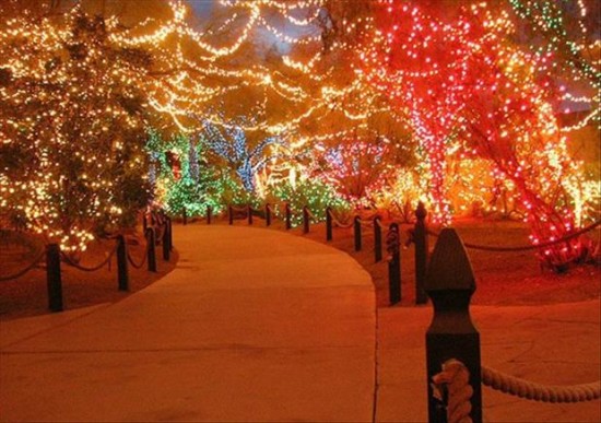 The Seasons For Christmas Lights 002