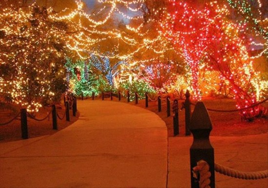 The Seasons For Christmas Lights 006