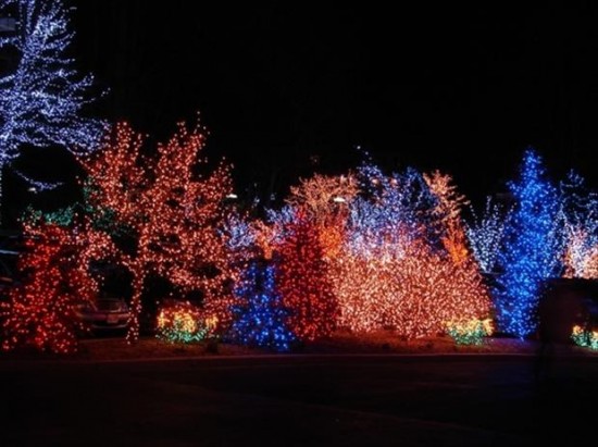 The Seasons For Christmas Lights 012