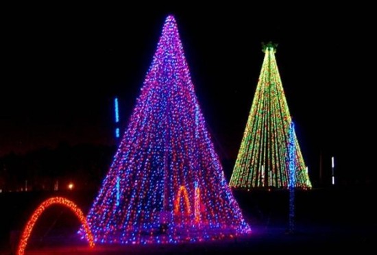 The Seasons For Christmas Lights 018