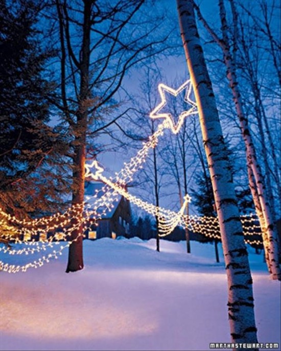The Seasons For Christmas Lights 035