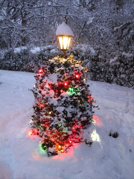 The Seasons For Christmas Lights 047