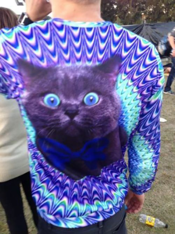 These-Cats-Will-Make-Your-Day-020