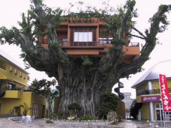 Treehouse Restaurant in Okinawa, Japan