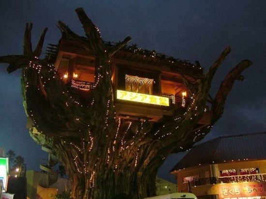 Treehouse Restaurant in Okinawa, Japan1