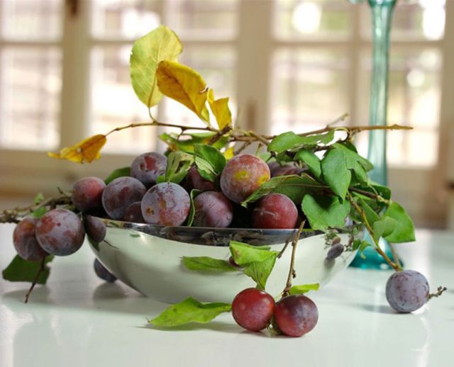 13 Pictures That Look Like Photographs But Aren’t 002