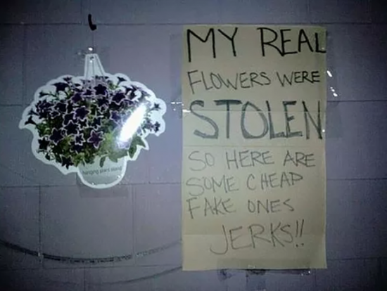 18 Angry Hilarious Notes For The Thieves  012
