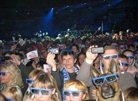 19 Funny Animal Photobombs 012