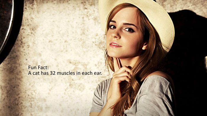 20 Celebrity Photos With Facts 010