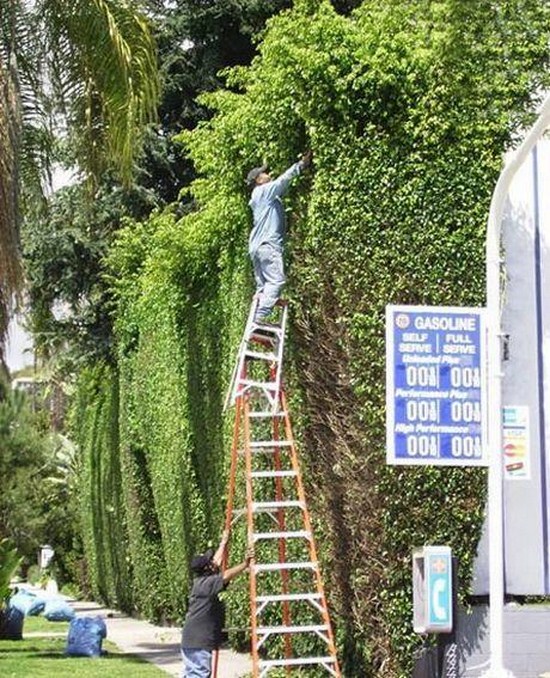 23 People Who Dont Think About Safety 020